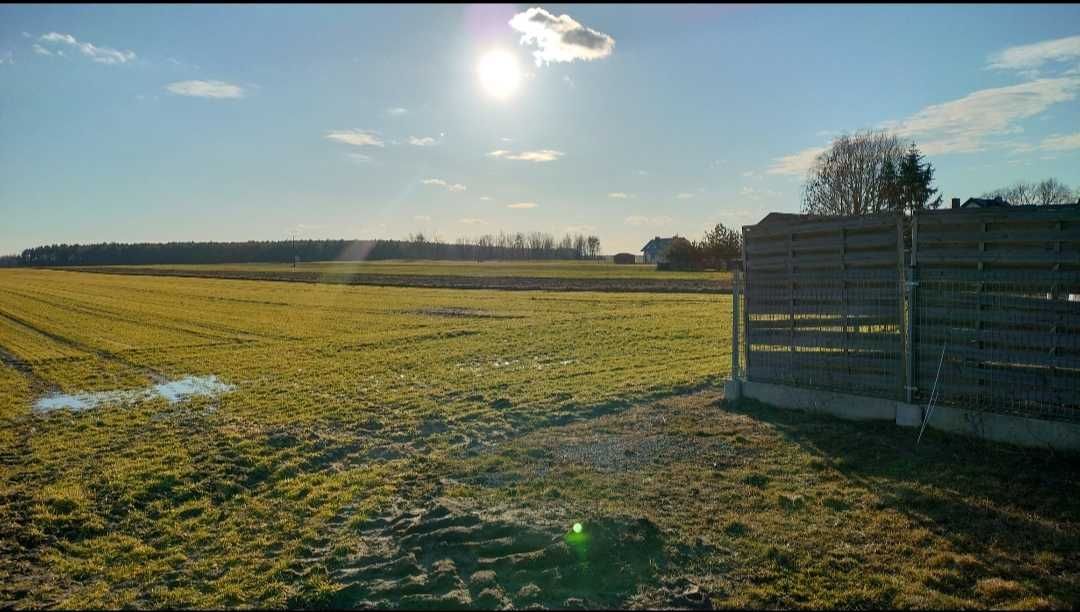 Działka na sprzedaż bez pośredników
Krynka