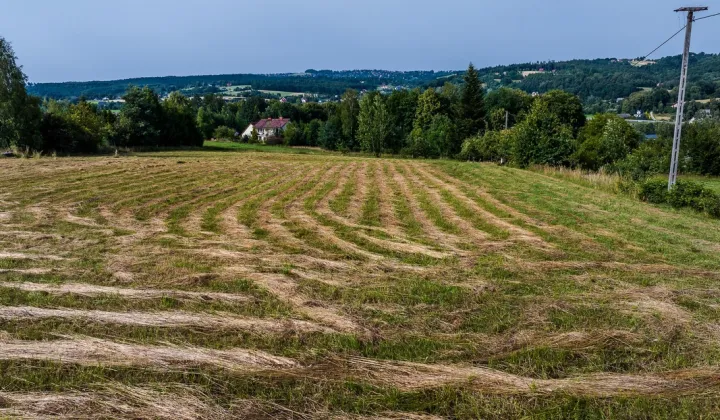 Działka budowlana Głogoczów