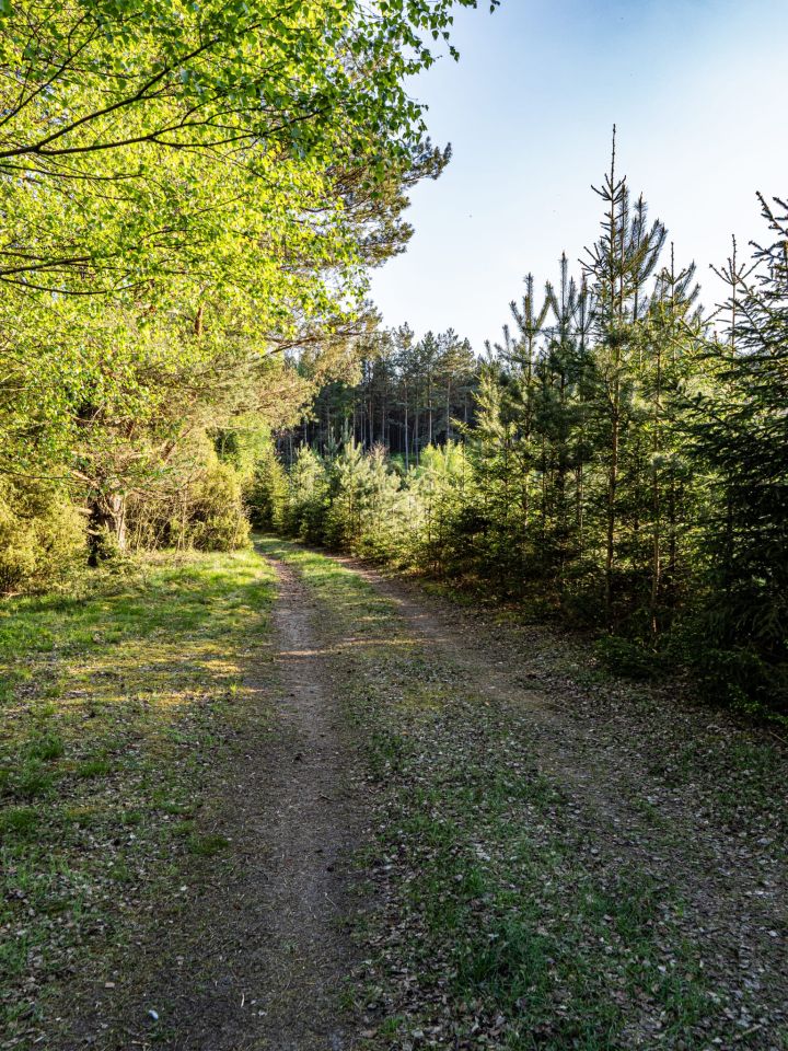 Działka rolna Kalisz, ul. Polna. Zdjęcie 7