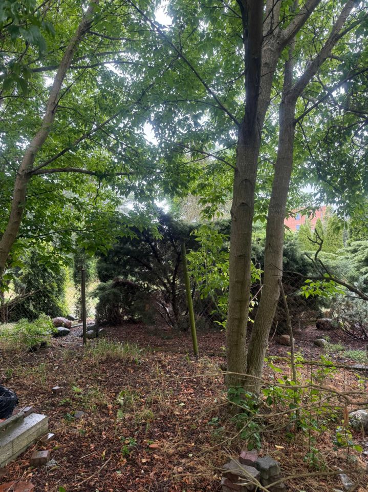 Działka rolna Toruń. Zdjęcie 5