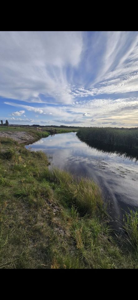 Działka rolno-budowlana Promiski. Zdjęcie 1