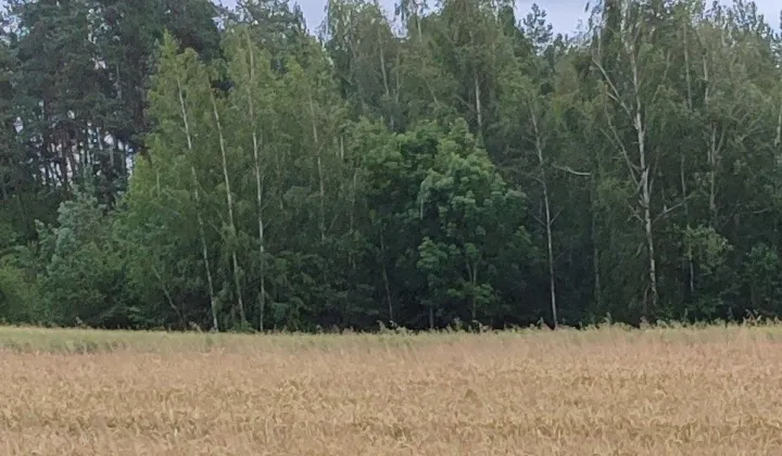 Działka rolna Starowlany