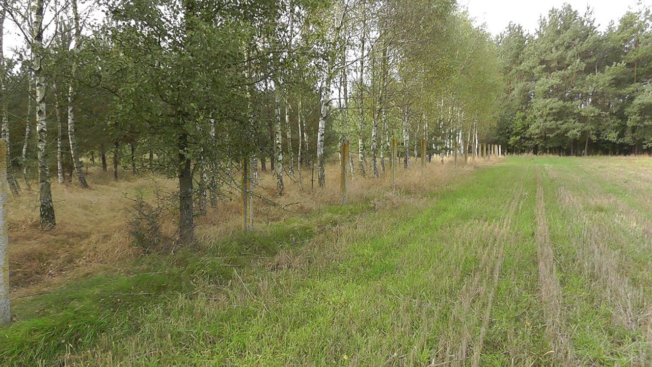 Działka inwestycyjna Zabłocie-Kolonia. Zdjęcie 10