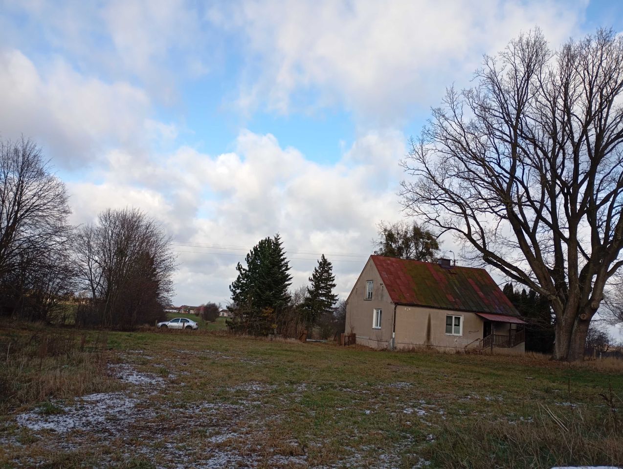 siedlisko Budy-Kozłówka. Zdjęcie 8