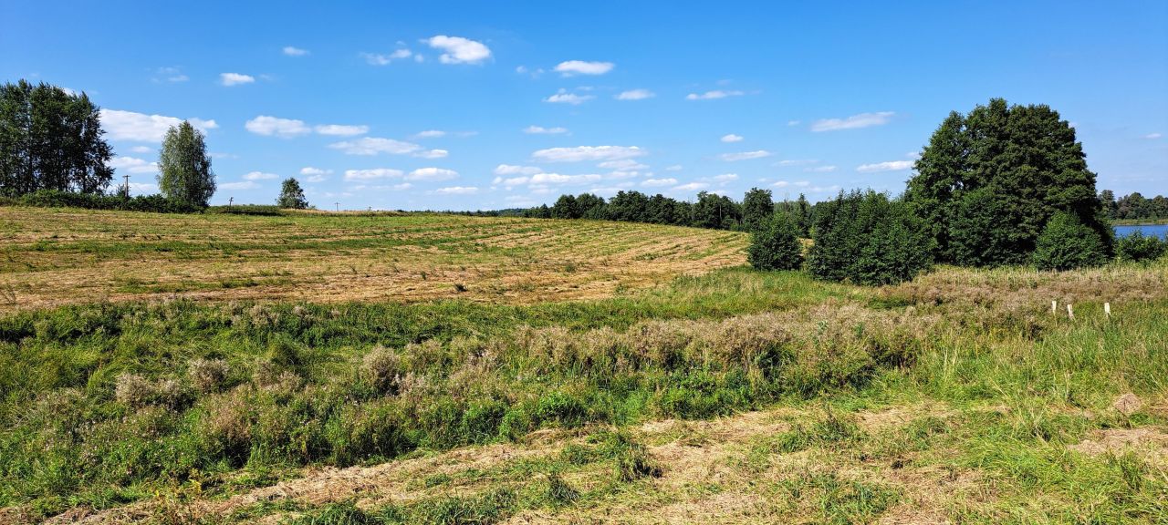 Działka rolna Cerkiewnik. Zdjęcie 17