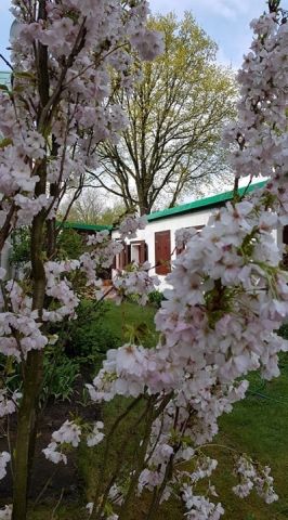 dom wolnostojący, 4 pokoje Nosy-Poniatki, ul. Szkolna. Zdjęcie 13