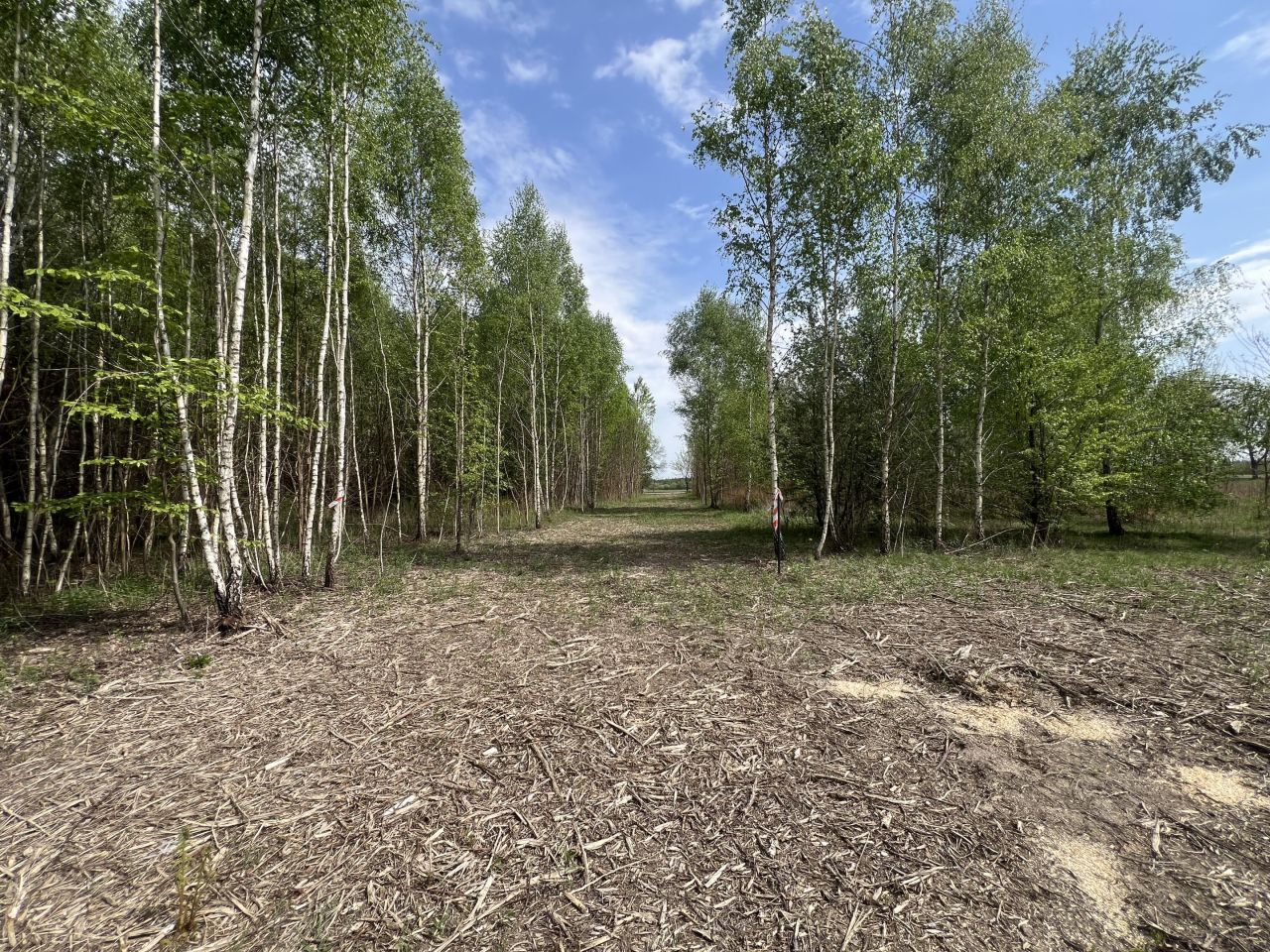 Działka budowlana Mlęcin. Zdjęcie 3