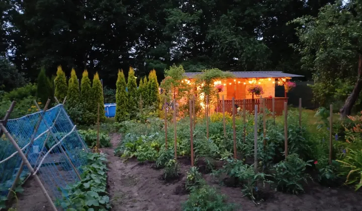 Działka rod Zielona Góra, ul. Osiedle Pomorskie