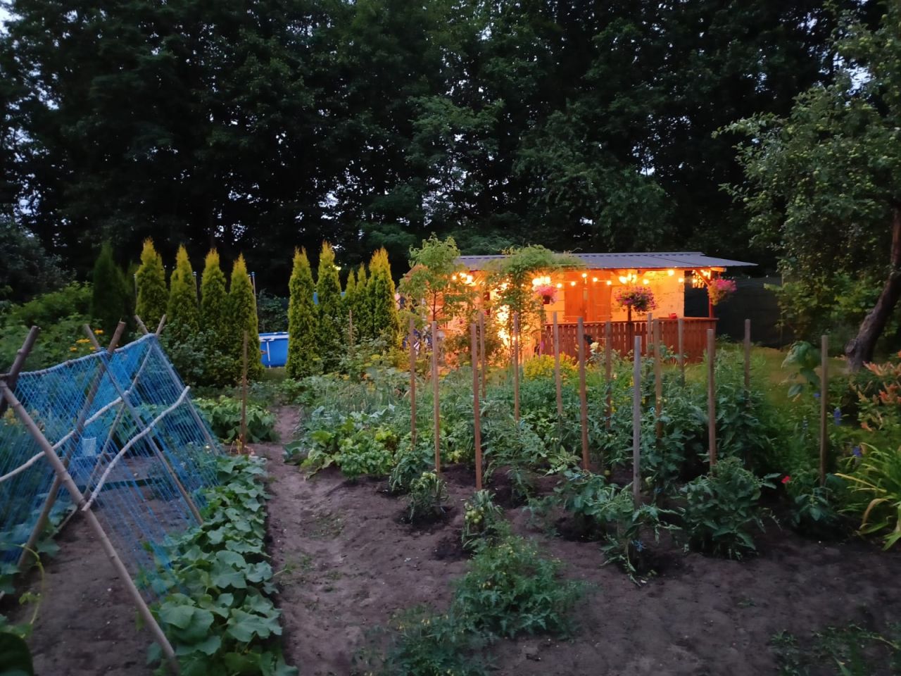 Działka rod Zielona Góra, ul. Osiedle Pomorskie. Zdjęcie 1