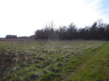 Działka rekreacyjna Koclin. Zdjęcie 1