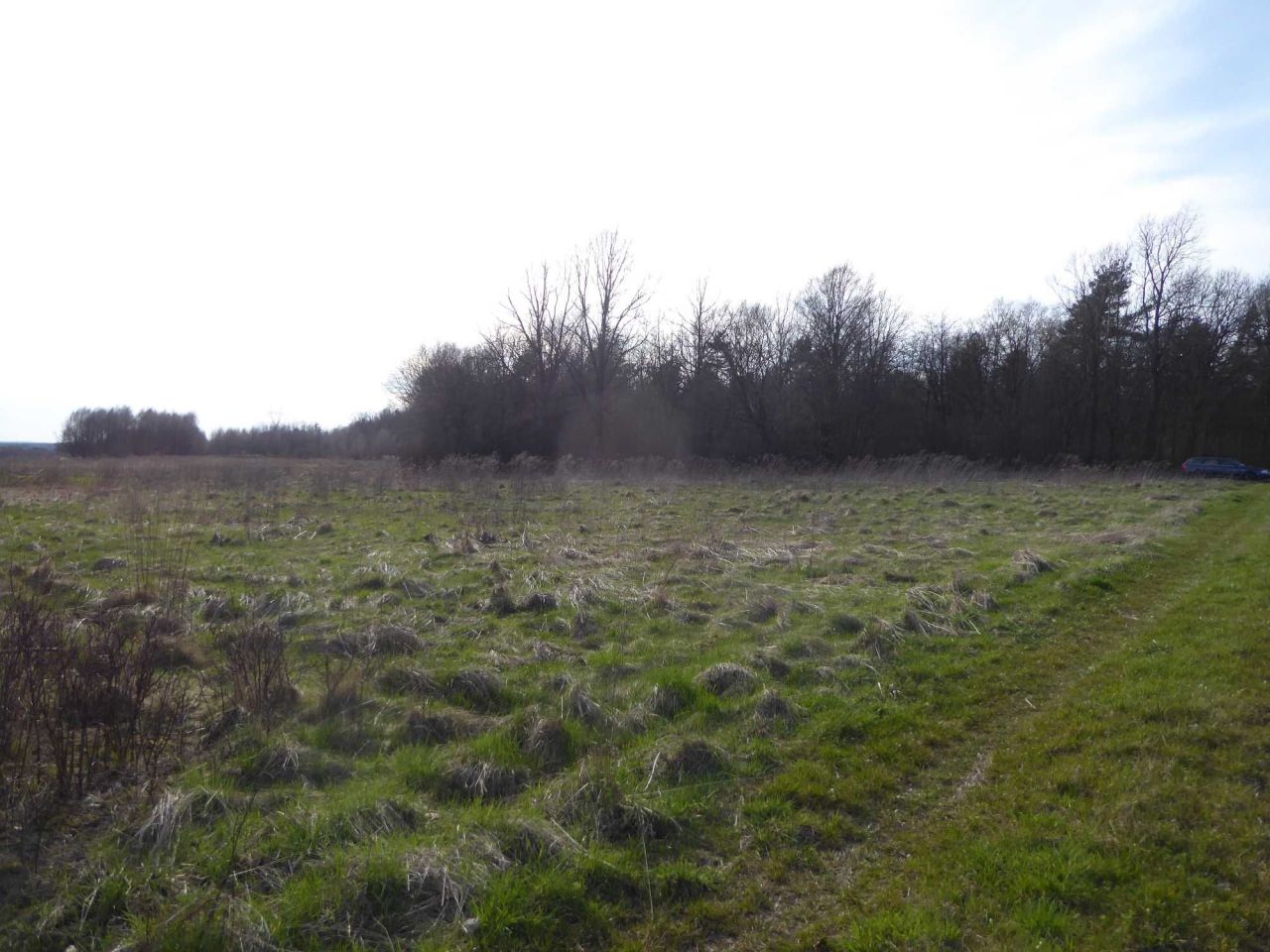 Działka rekreacyjna Koclin. Zdjęcie 2