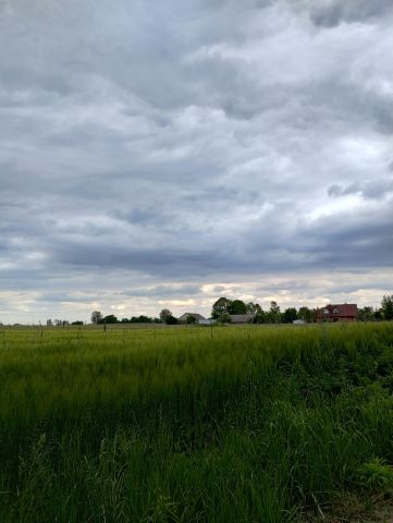dom wolnostojący Żytno, Brak. Zdjęcie 1