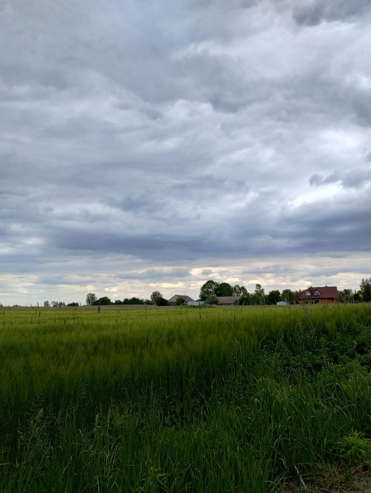 dom wolnostojący Żytno. Zdjęcie 5