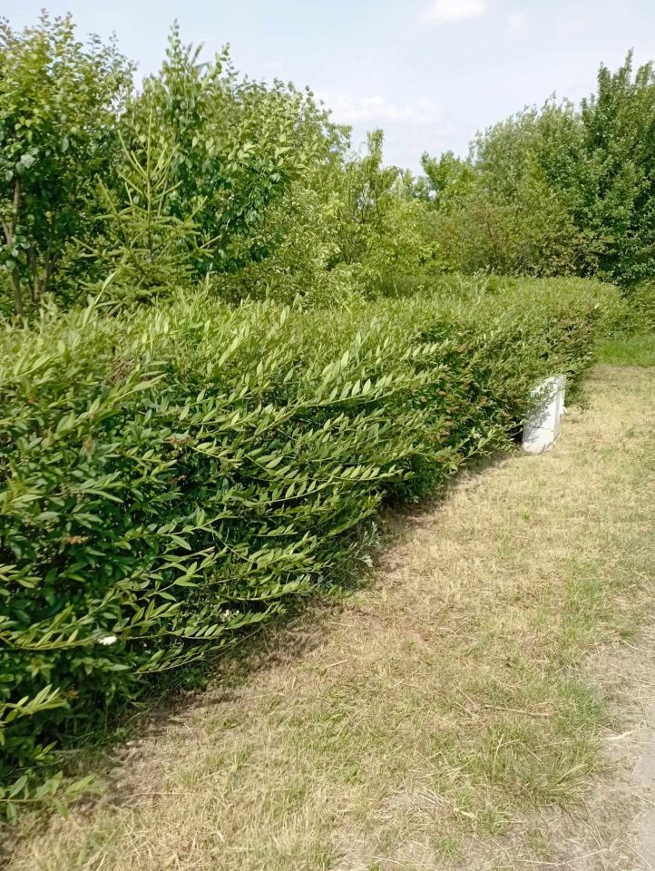 Działka rod Radom Potkanów, ul. Żelazna