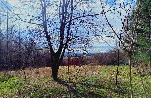 gospodarstwo, 2 pokoje Czechówka, ul. Szkolna. Zdjęcie 2