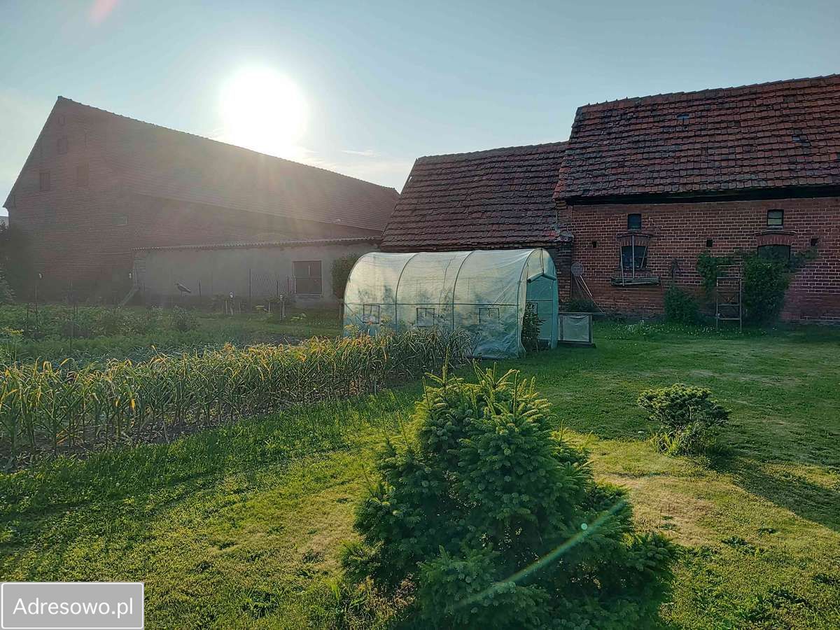 gospodarstwo, 6 pokoi Siedlce. Zdjęcie 12