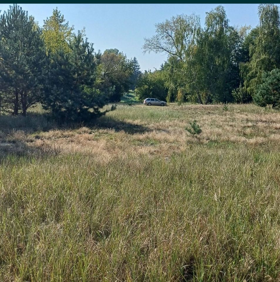 Działka rekreacyjna Dzbądzek. Zdjęcie 2