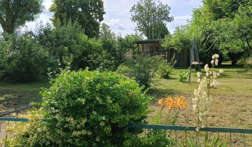 Działka rod Dębno, ul. Kostrzyńska