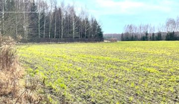 Działka inwestycyjna Harsz