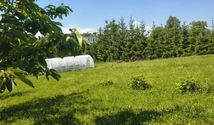 Działka budowlana Więcbork