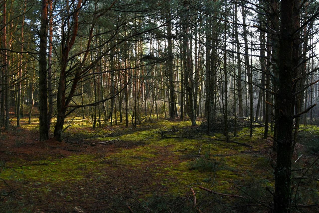 Działka budowlana Turna Duża. Zdjęcie 6