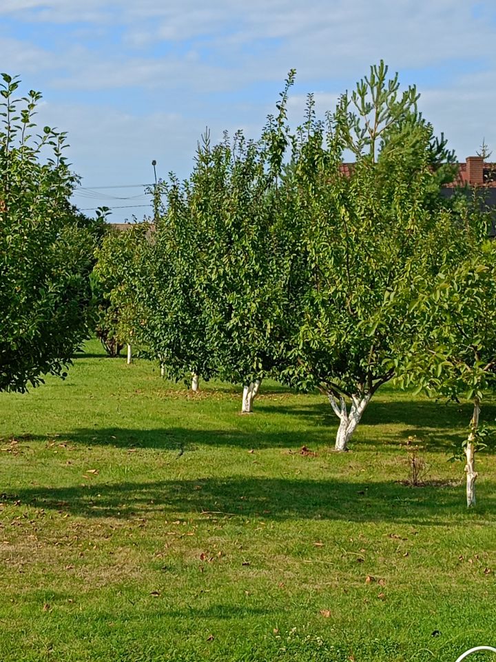 dom wolnostojący, 3 pokoje Wiktorowo. Zdjęcie 13