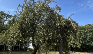 Działka budowlana Sulisławice