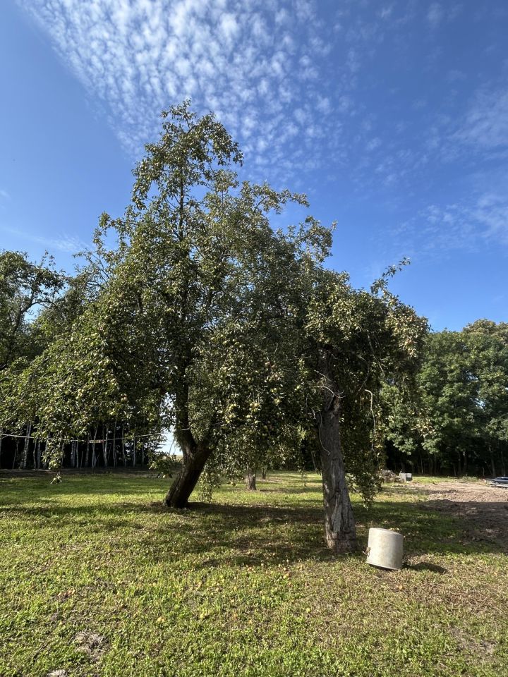 Działka budowlana Sulisławice. Zdjęcie 2