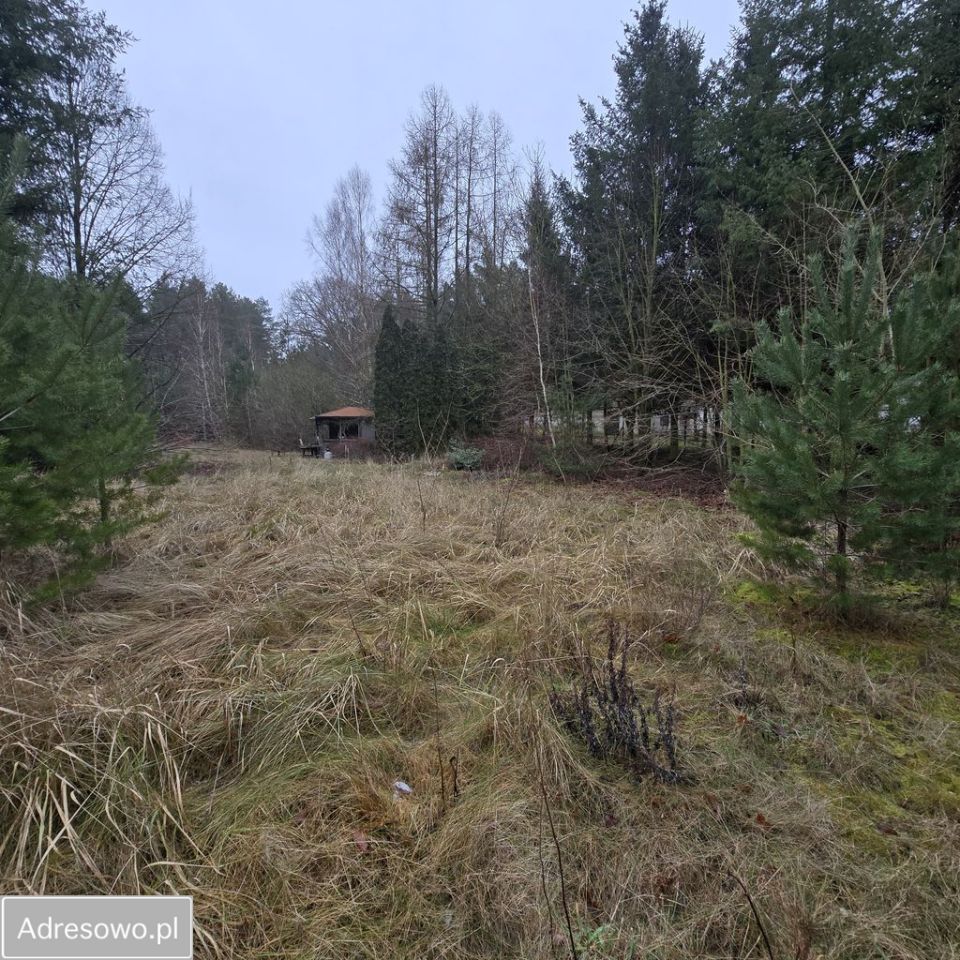 Działka rolno-budowlana Bolechowo. Zdjęcie 11