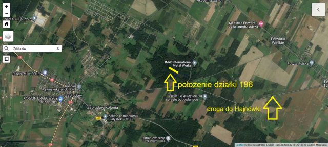 Działka leśna Zabłudów. Zdjęcie 1