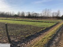 Działka inwestycyjna Łuków. Zdjęcie 3