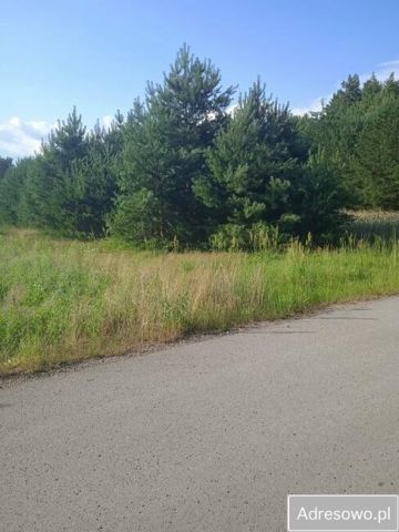 Działka budowlana Lesica Jeżynów. Zdjęcie 1