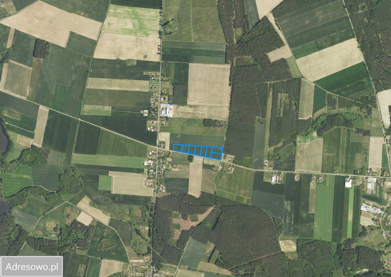 Działka rolno-budowlana Słonów. Zdjęcie 7