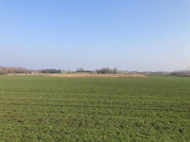 Działka rolna Głazów. Zdjęcie 1