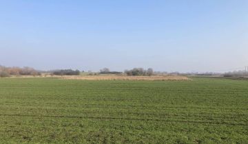 Działka rolna Głazów