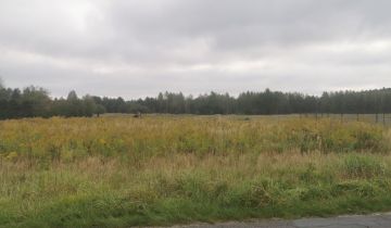 Działka siedliskowa Nowe Chrusty