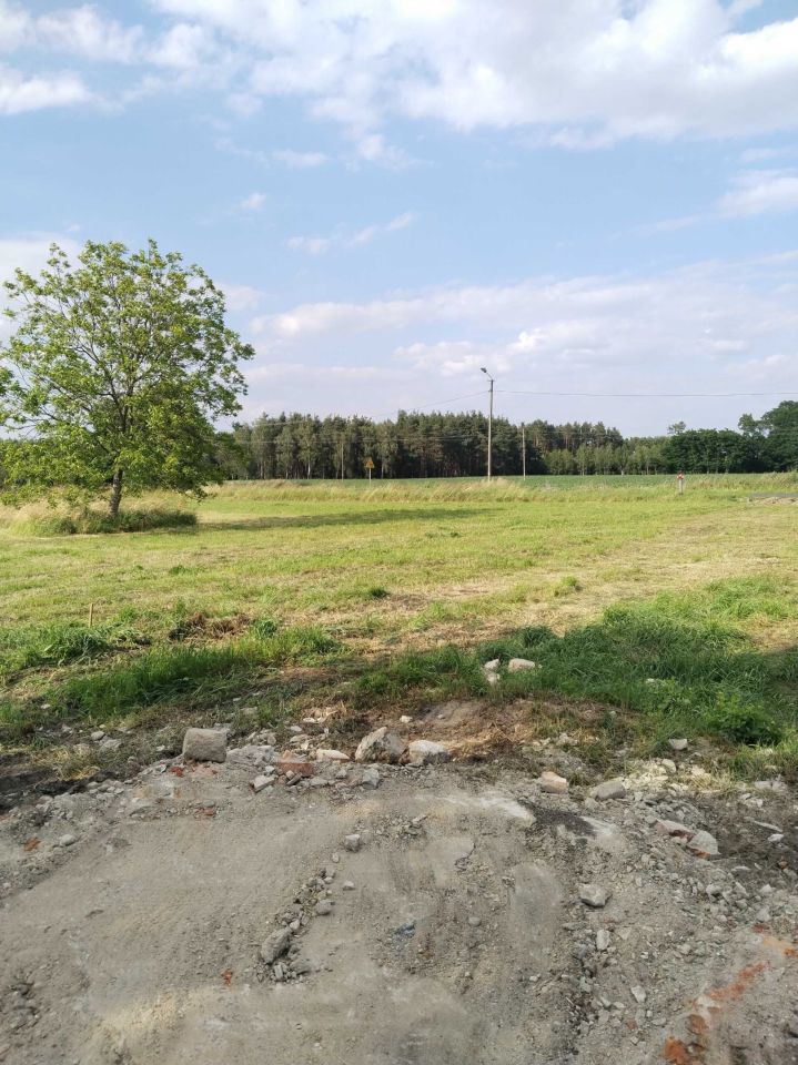 Działka budowlana Sądzia. Zdjęcie 4