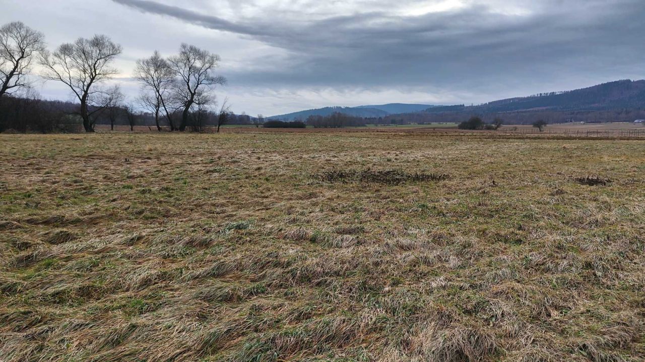 Działka budowlana Gorzanów. Zdjęcie 4