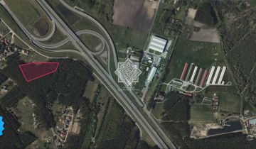 Działka leśna Kuczek