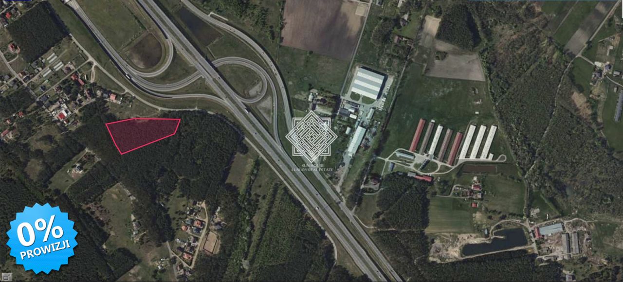 Działka leśna Kuczek. Zdjęcie 2