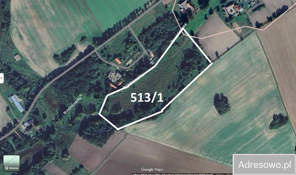 Działka rolna Witków