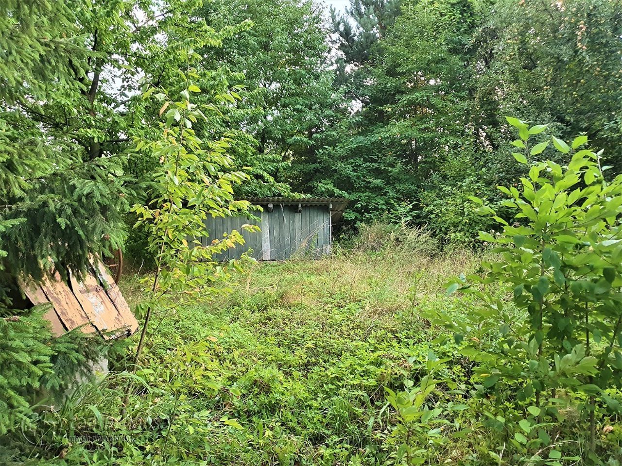 Działka siedliskowa Borek Stary. Zdjęcie 5