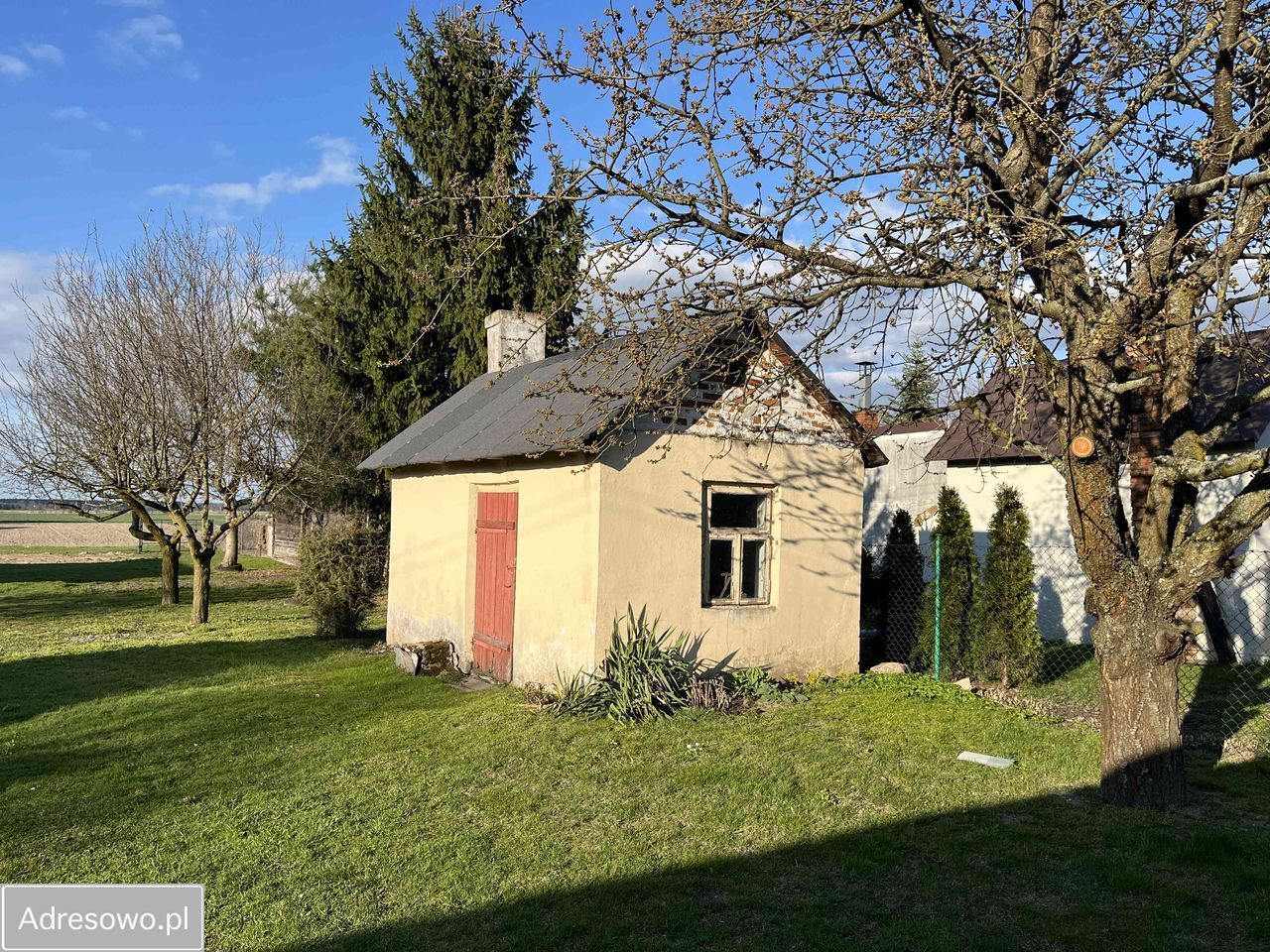 siedlisko Plebania Wola. Zdjęcie 15