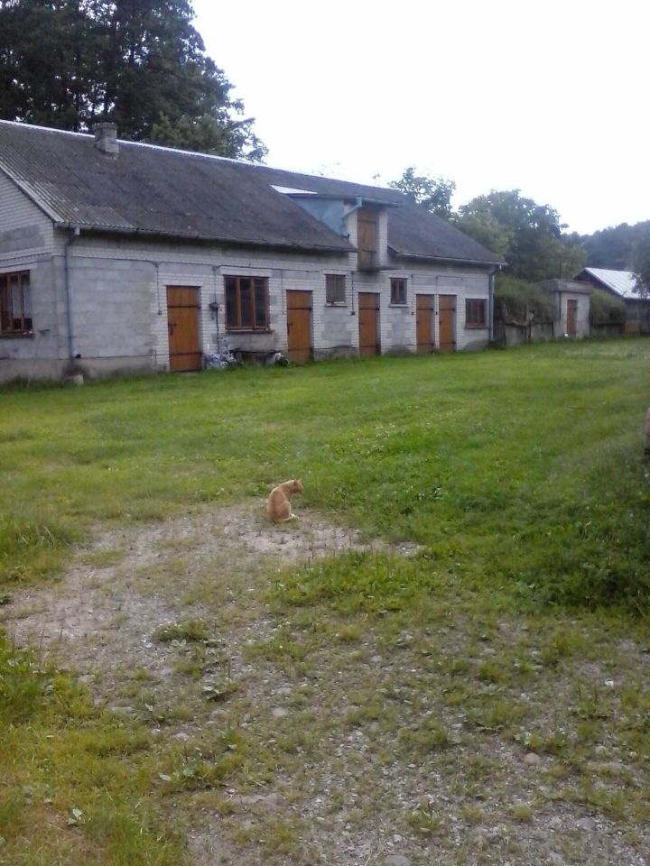 Działka siedliskowa Kamianka. Zdjęcie 5