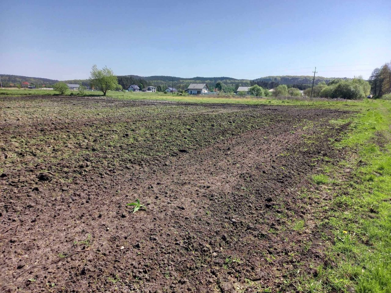 Działka budowlana Karpiny. Zdjęcie 7