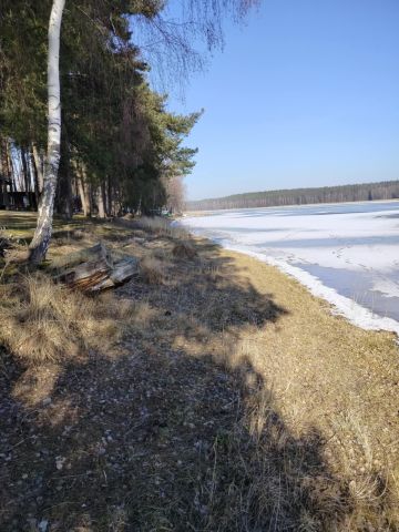 Działka inwestycyjna Dymin. Zdjęcie 6