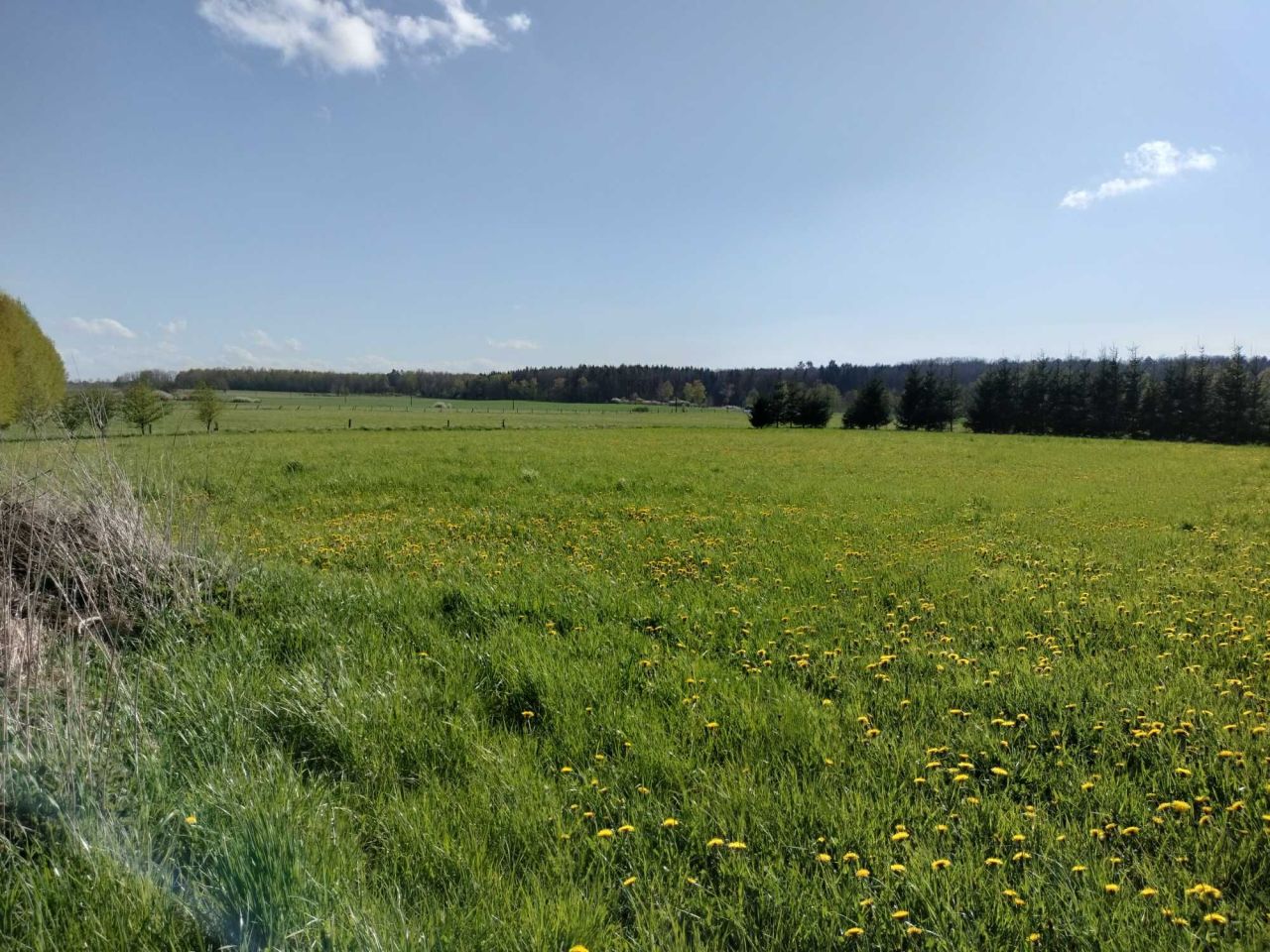 Działka budowlana Księżno. Zdjęcie 8