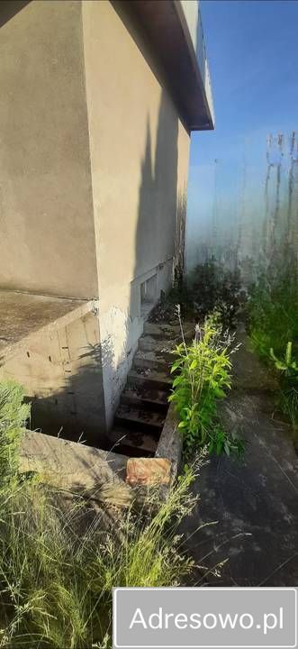 Działka rod Drzewce. Zdjęcie 11