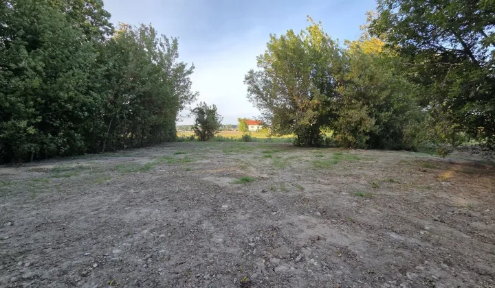 Działka rolno-budowlana Moszyn