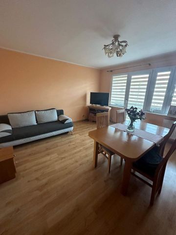 Mieszkanie 1-pokojowe Łódź Olechów, ul. Piasta Kołodzieja. Zdjęcie 1